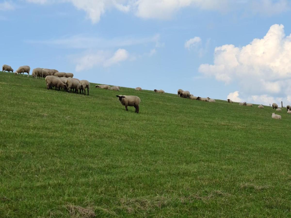 Watt'N Blick - Hundefreundliches Ferienhaus Mit Ausblick Ueber Die Wiesen Bis Zum Deich Schweiburg Exteriör bild